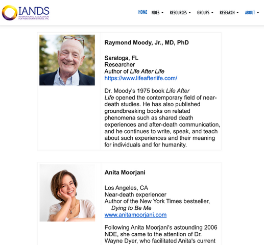 IANDS Advisory Board Page Sample Screenshot